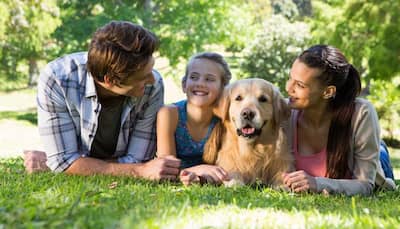 Man's best friend was domesticated not once, but twice: Study