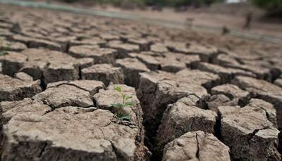 Severe water crisis in Madhya Pradesh's Betul, Section 144 imposed to avoid violence 