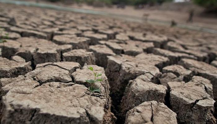 Severe water crisis in Madhya Pradesh's Betul, Section 144 imposed to avoid violence Severe water crisis in Madhya Pradesh's Betul, Section 144 imposed to avoid violence