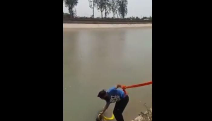 Heart warming! Sikh uses turban to rescue drowning dog – Watch Heart warming! Sikh uses turban to rescue drowning dog – Watch
