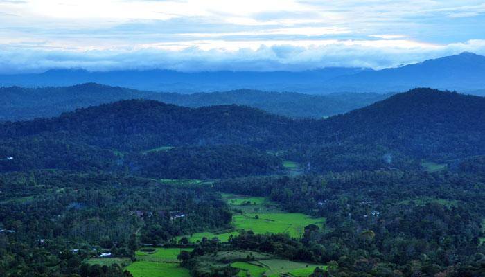 Travel-based web-series 'Nimrat' to capture beauty of Coorg