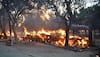 Mathura violence: You won't believe how many trees were destroyed, charred due to clashes