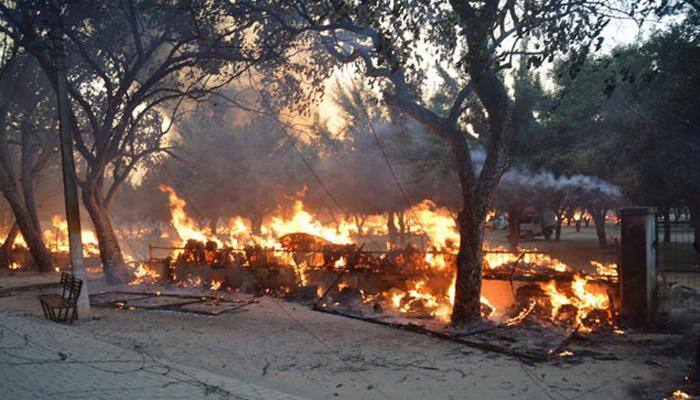 Mathura violence: You won't believe how many trees were destroyed, charred due to clashes
