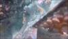 Watch video: This Octopus turned out to be a selfie addict!