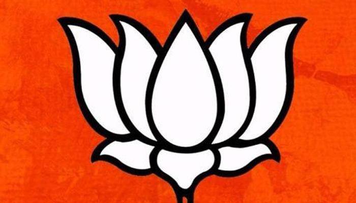 With UP polls in mind, BJP national executive to meet in Allahabad