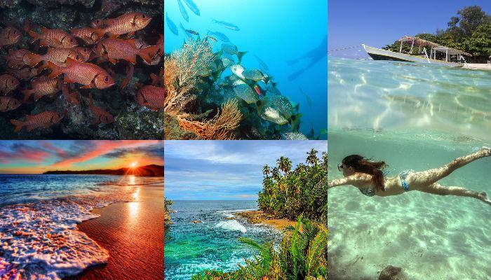 Planning an underwater getaway this summer? Check out top 5 destinations