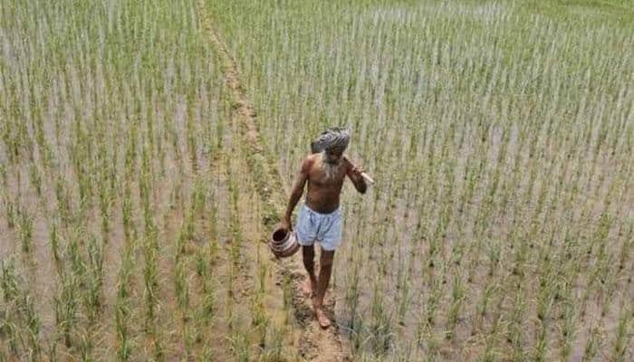 UP: Two shot at for fetching water from govt tubewell to irrigate fields