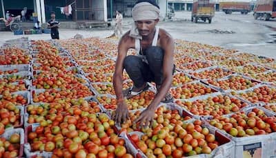 Tomato prices double to Rs 80/kg on sluggish supply