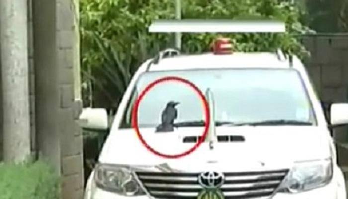How a crow likely forced Karnataka CM Siddaramaiah to change his car