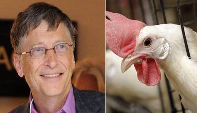 Shocking offer! Bill Gates wants to donate 100,000 hens to 'poverty-stricken' Bolivia