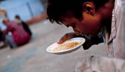 Himalayan nations, including India, may face unprecedented food crisis: Experts