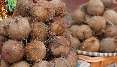 Do you know why coconuts are offered to deities in temples?