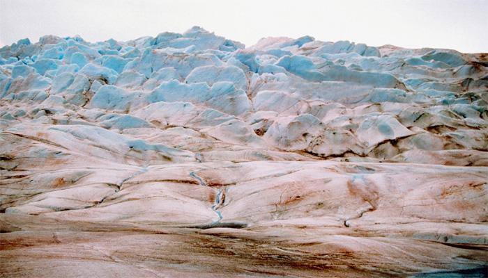Why red snow of Arctic is a 'red alert' for the environment?