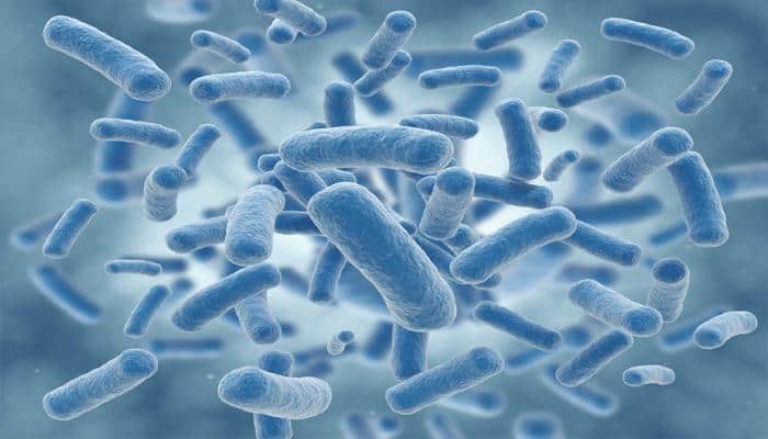 'Reprogrammed' bacteria eat carbon dioxide to produce sugars
