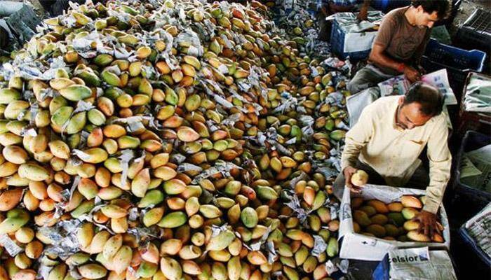 Dubai, Hong Kong and Malaysia will also get a taste of India&#039;s Amrapali mango