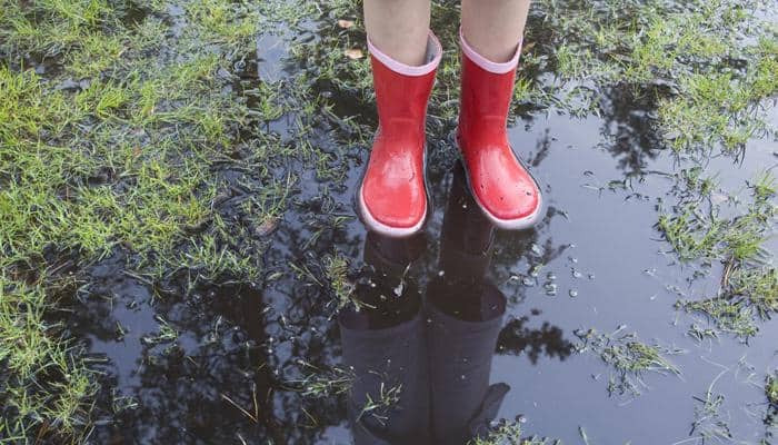 Monsoon trouble for shoes? Best tips to save your footwear this rainy season