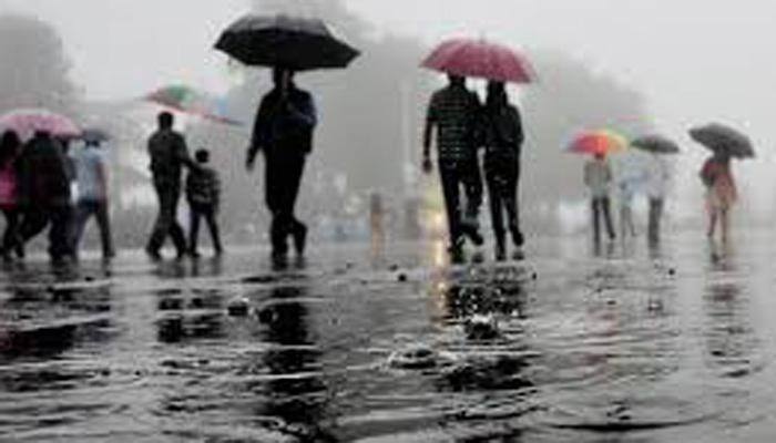 Monsoon arrives in Delhi but only patchy rains likely