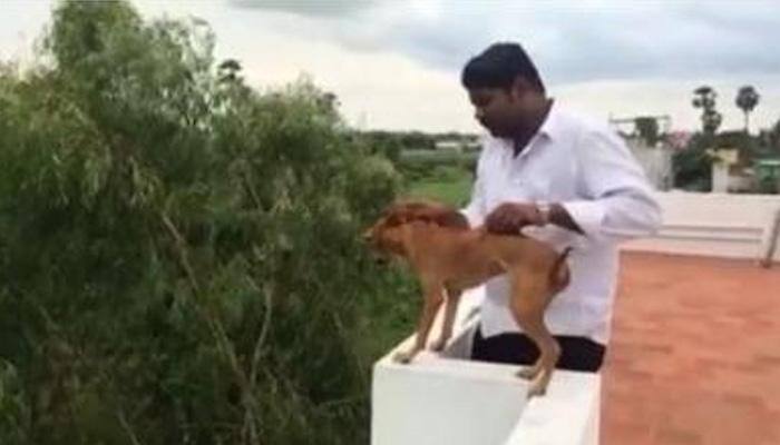 Two MBBS students, who threw dog off terrace and filmed incident, suspended by college