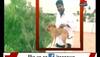 Man throws dog from rooftop