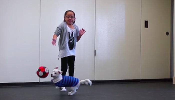  A very touching story! Incredible bond between Walter and his little girl Julia (Watch video)
