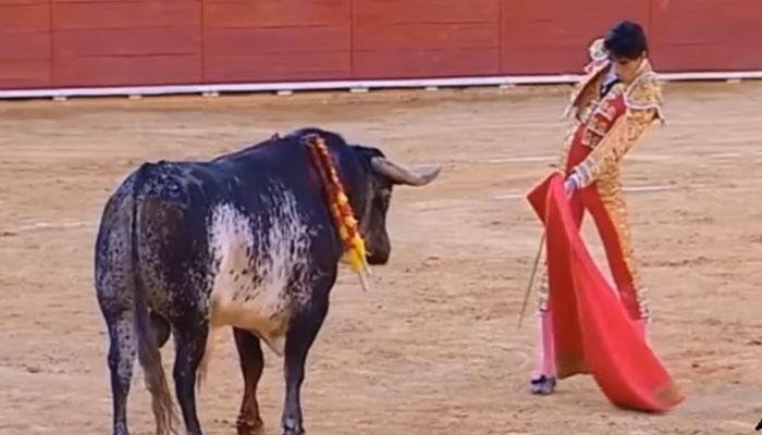 TRAGIC! Spanish bullfighter Victor Barrio gored to death in the ring - Watch video