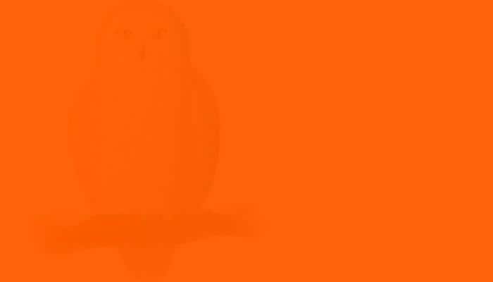 Quiz: Introverts judge how strong is your observational skills by hunting for the hidden images!