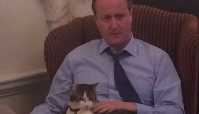 Know why David Cameron posted pic of 10 Downing Street cat on Twitter as 'proof' of his love for Larry