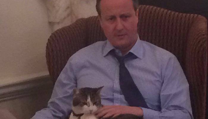 Know why David Cameron posted pic of 10 Downing Street cat on Twitter as 'proof' of his love for Larry