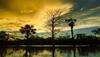 World's biodiversity reaches 'unsafe levels', claims study