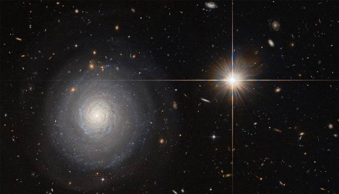 NASA&#039;s Hubble views secluded starburst galaxy! See pic