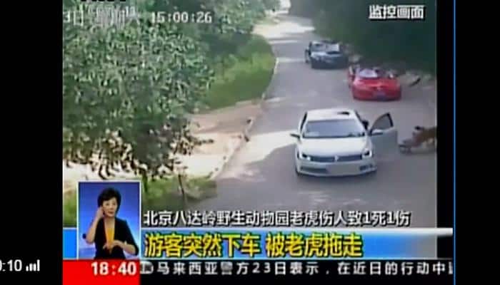 Spine-chilling video: Woman dragged, killed by tiger at safari park in China 