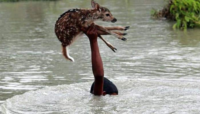 Goof up! Assam govt includes famous photo of Bangladesh&#039;s Noakhali floods in report to Rajnath Singh