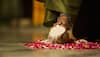 Hindu bride gently pushes a Kalash full of rice with her foot during Graha Pravesh– Here’s why