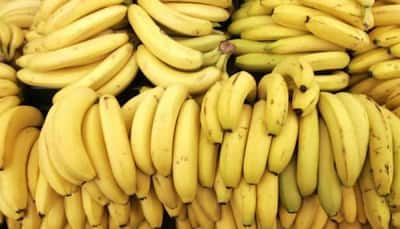 Banana faces extinction threat, warns pathologist