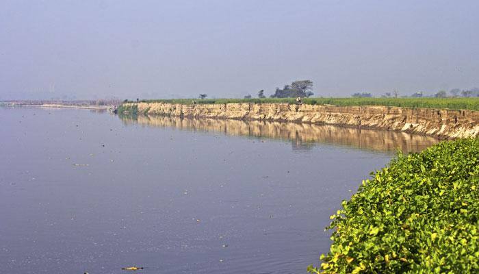 Delhi's waste chokes Yamuna of all aquatic life