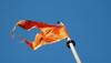 RSS to start awareness campaign against changing name of WB