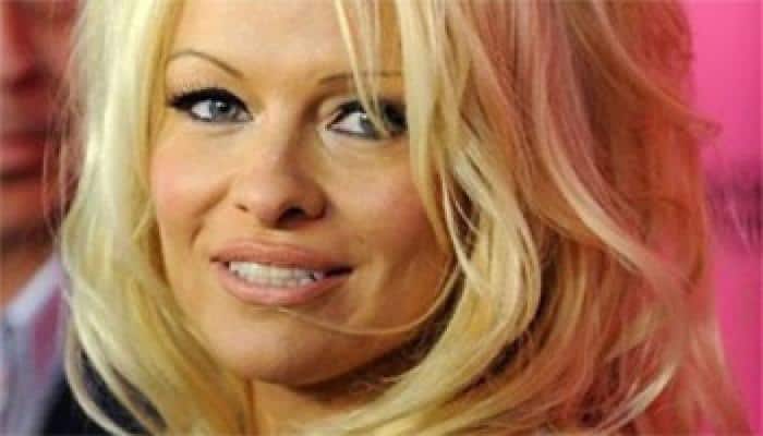 Pamela Anderson brands porn as public hazard
