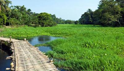 Assam's Majuli island titled as world's largest river island by Guinness World Records!