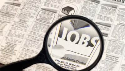 Employers see steady hiring activity in India in '17: Survey