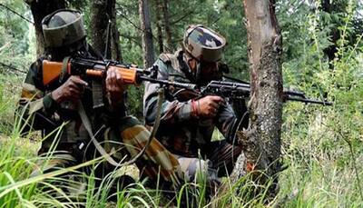 Alert army personnel foil infiltration bid along LoC in Kashmir's Naugam; four terrorists killed