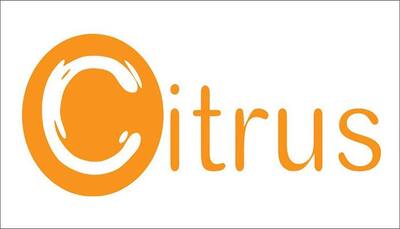 PayU acquires Citrus Pay for $130 million