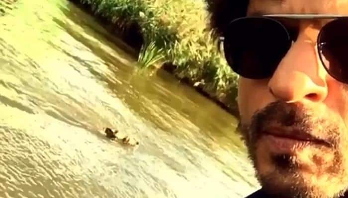 Shah Rukh Khan on a &#039;dog day afternoon&#039; in Amsterdam