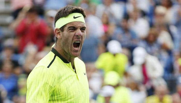 Davis Cup: Argentina&#039;s Juan Martin del Potro hopes to be fit for &#039;dream&#039; final