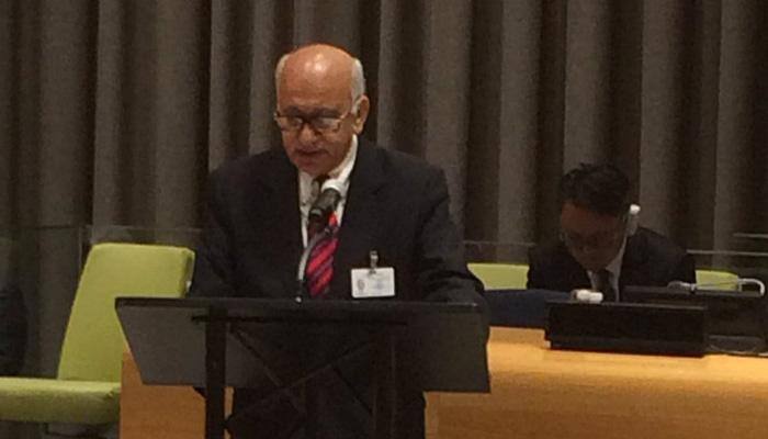 Pakistan can fool only its own on terrorism, not the world: MJ Akbar