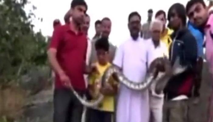 SHOCKING VIDEO: This man was trying to take selfie with python - You won't believe what happened next!