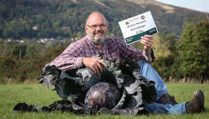 Wow! This man from Britain breaks 90-year-old record by growing world&#039;s heaviest red cabbage (See pic)