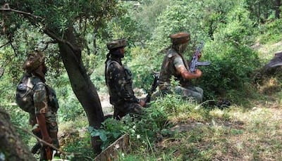 Soldier inadvertently crossed LoC, report of soldiers killed false: Army