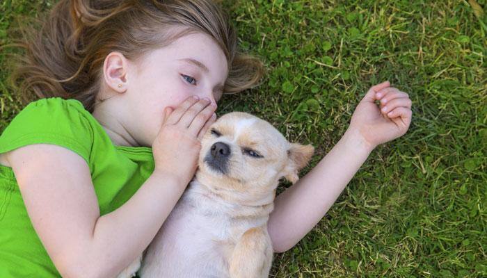 Genes behind social ability of dogs identified
