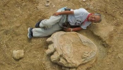 World's largest dinosaur footprint discovered in Mongolia's Gobi Desert! (Pic inside)