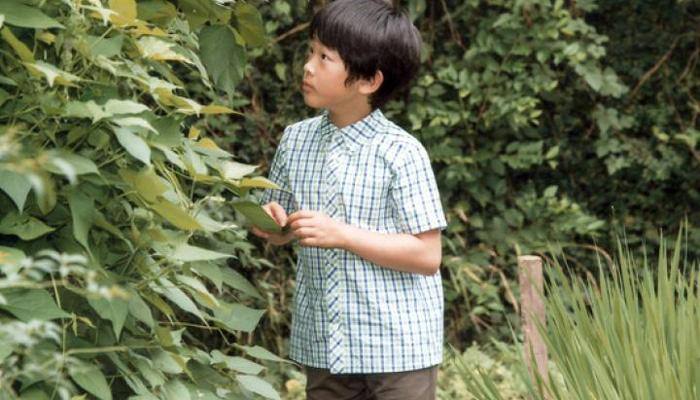 Japan&#039;s little prince could be last emperor on unreformed Chrysanthemum Throne